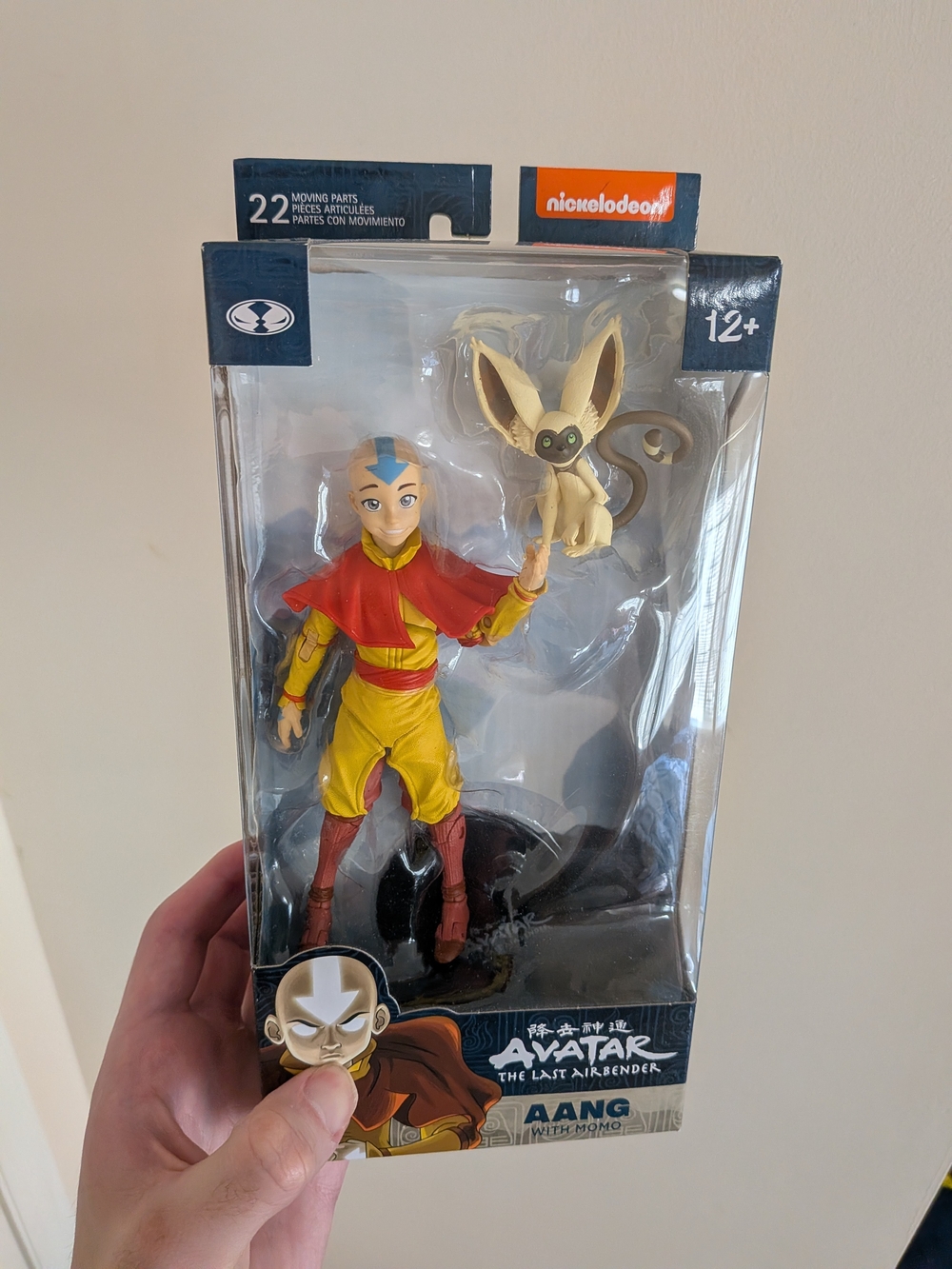 Nickelodeon Aang & Momo Action Figure